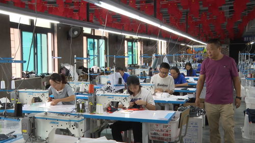 云南云縣 服裝廠開(kāi)在家門(mén)口，掙錢(qián)不再往外走——技術(shù)轉(zhuǎn)讓與咨詢(xún)的致富新路