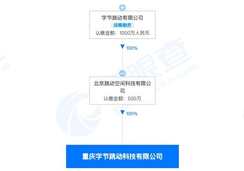 字節(jié)跳動(dòng)跨界布局 重慶子公司經(jīng)營范圍新增房地產(chǎn)經(jīng)紀(jì)與技術(shù)咨詢